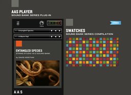 AAS Player &amp; Swatches