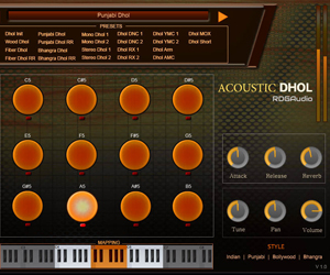 Acoustic Indian Dhol Lite