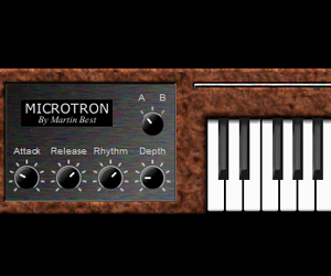 DVS Microtron