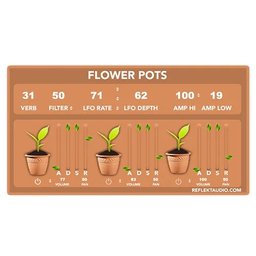 Flower Pots