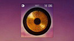The Gong
