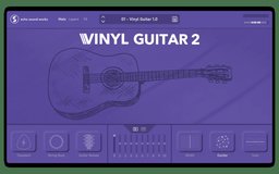 Vinyl Guitar 2